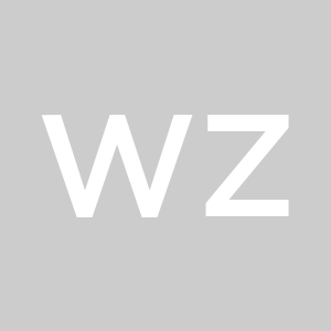 wang zhe